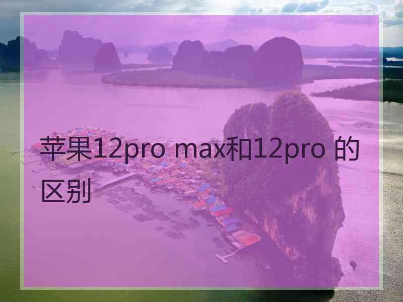 苹果12pro max和12pro 的区别