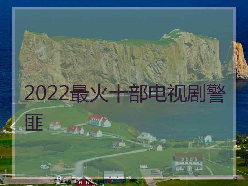 2022最火十部电视剧警匪