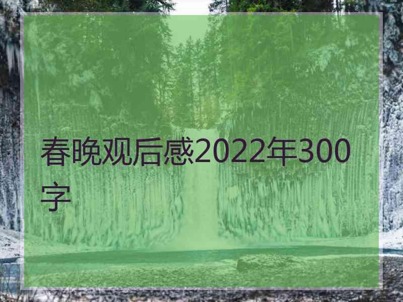 春晚观后感2022年300字