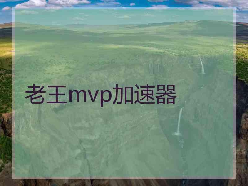 老王mvp加速器