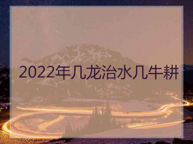 2022年几龙治水几牛耕