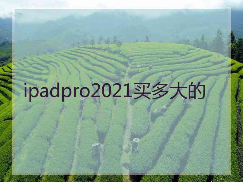 ipadpro2021买多大的