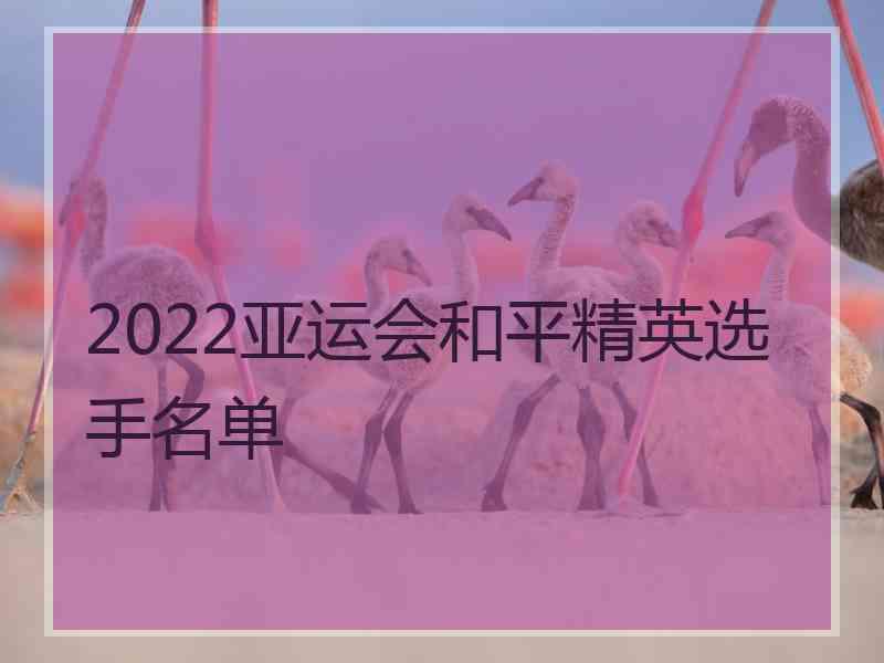 2022亚运会和平精英选手名单