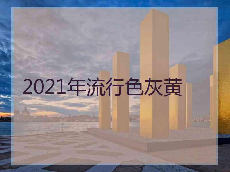 2021年流行色灰黄