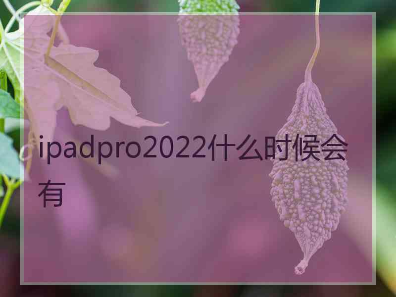 ipadpro2022什么时候会有