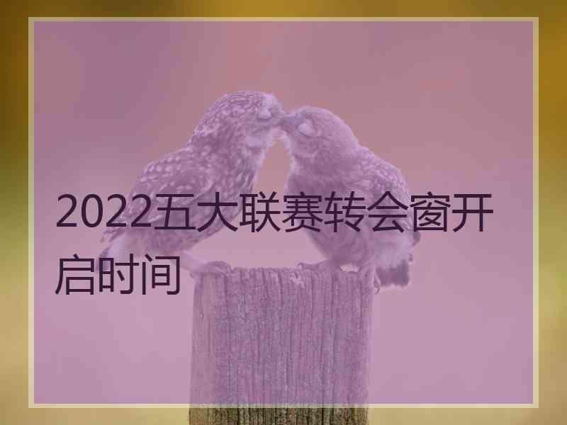 2022五大联赛转会窗开启时间