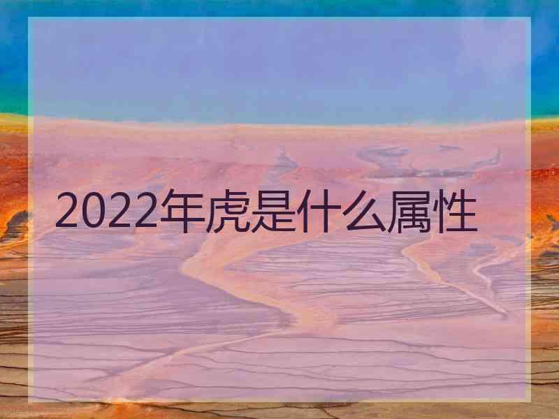 2022年虎是什么属性