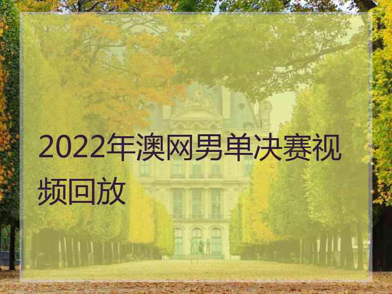 2022年澳网男单决赛视频回放