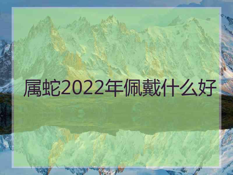 属蛇2022年佩戴什么好