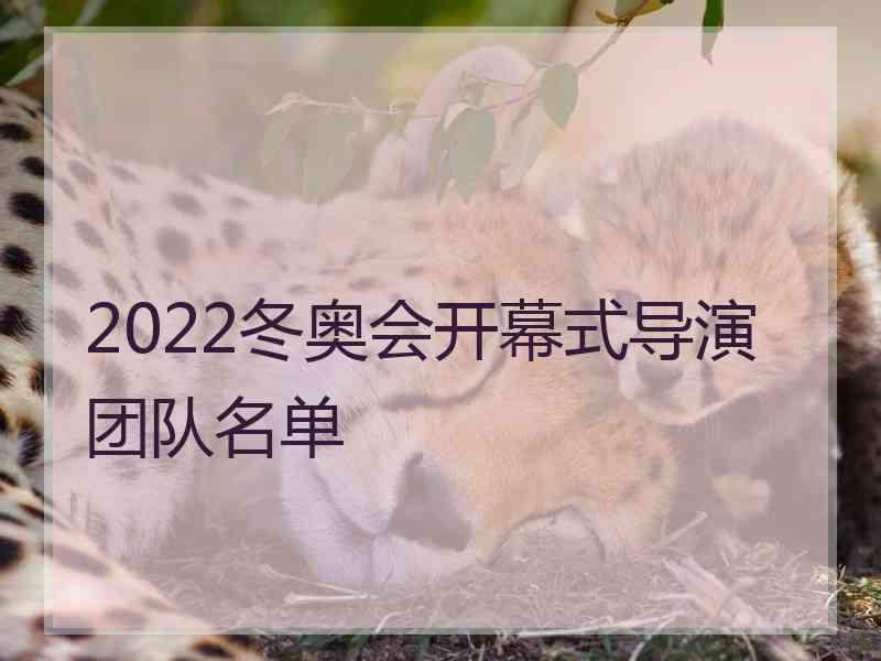 2022冬奥会开幕式导演团队名单