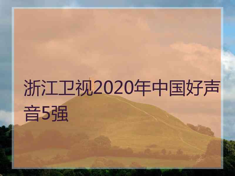 浙江卫视2020年中国好声音5强