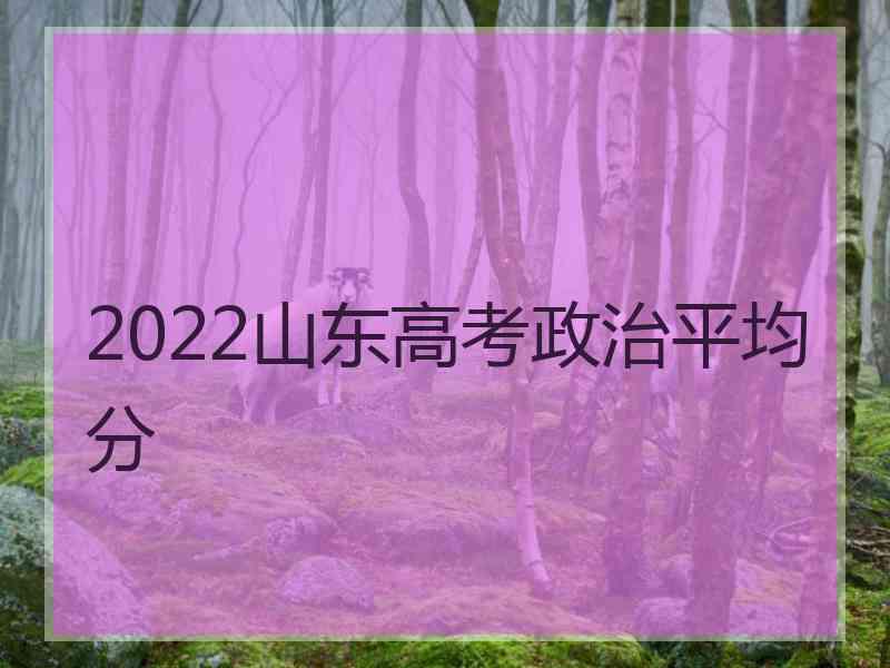 2022山东高考政治平均分