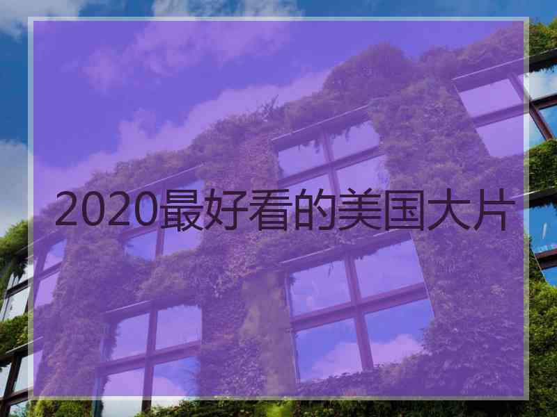 2020最好看的美国大片