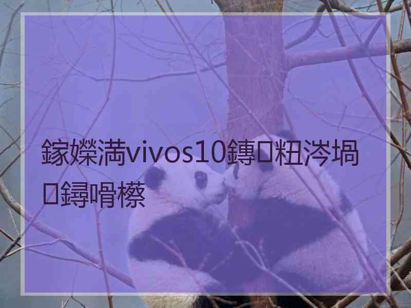 鎵嬫満vivos10鏄粈涔堝鐞嗗櫒