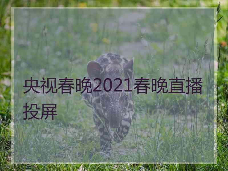 央视春晚2021春晚直播投屏