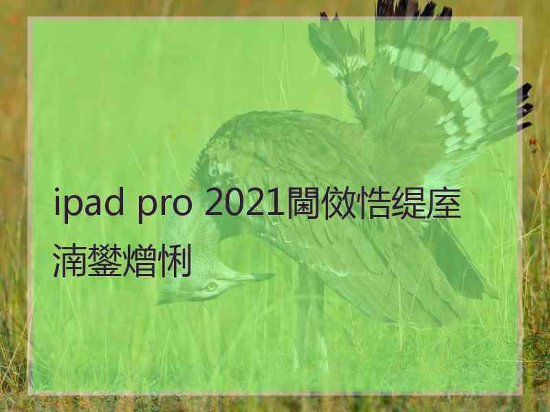 ipad pro 2021閫傚悎缇庢湳鐢熷悧