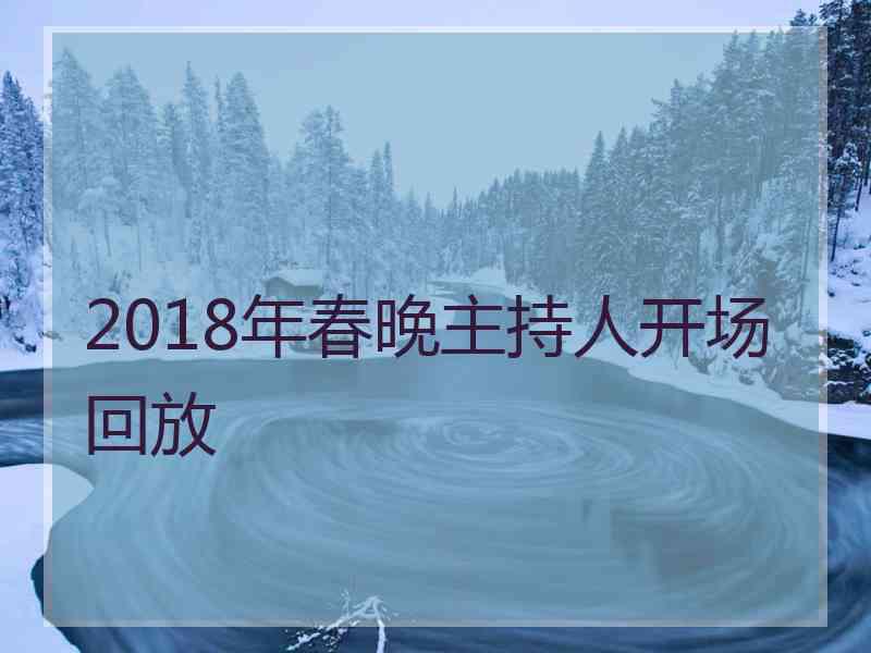 2018年春晚主持人开场回放