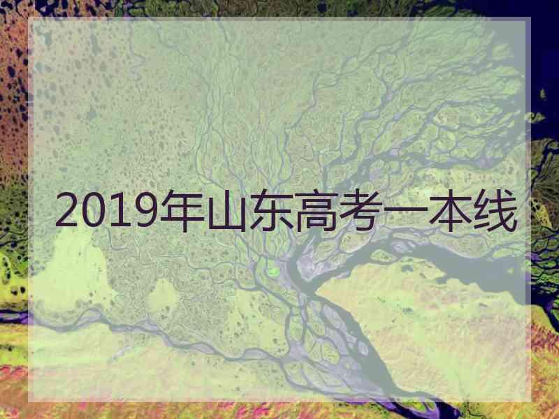 2019年山东高考一本线