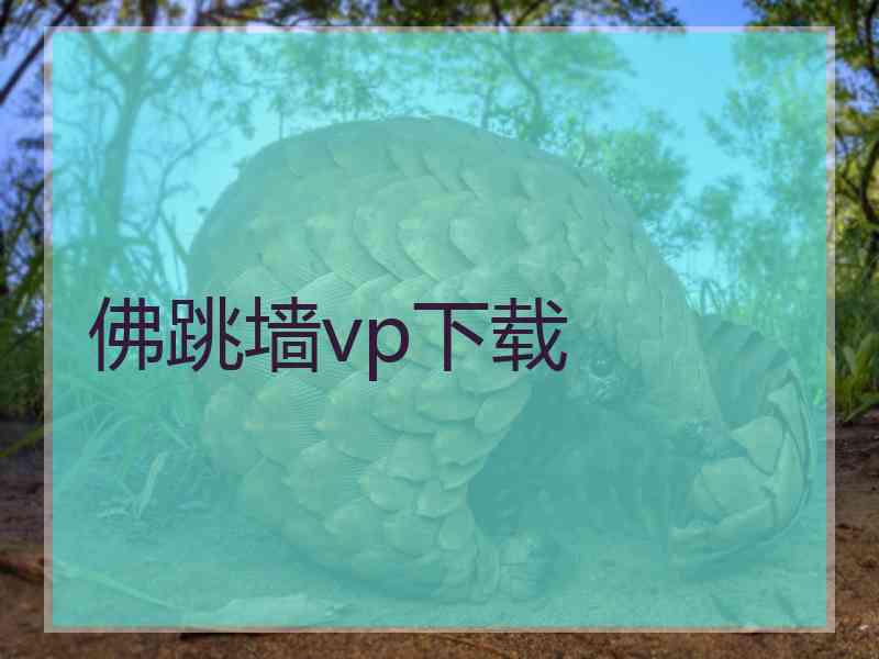 佛跳墙vp下载