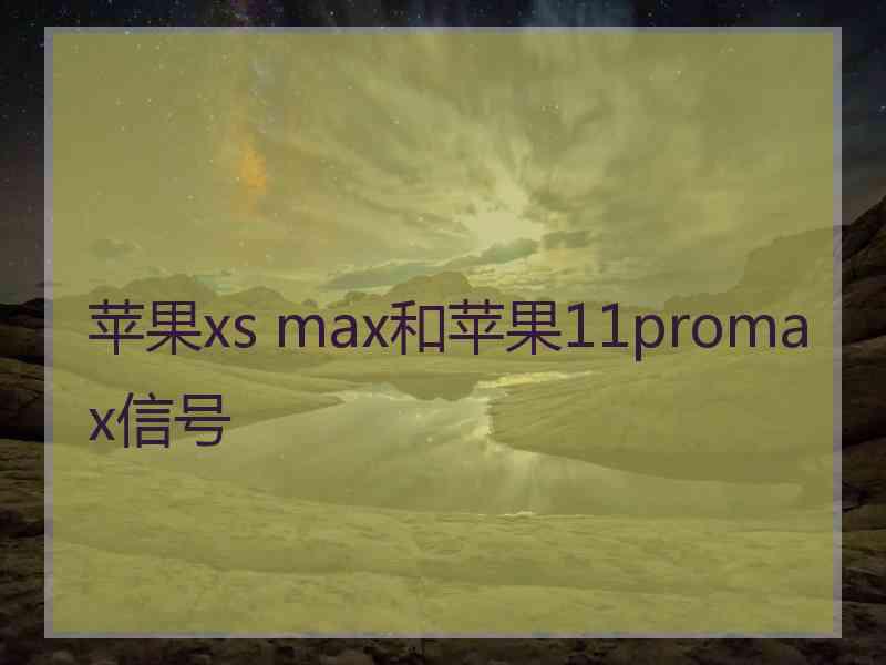 苹果xs max和苹果11promax信号