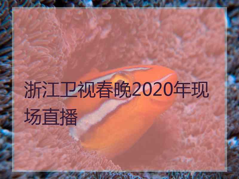 浙江卫视春晚2020年现场直播