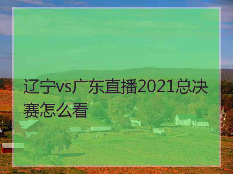 辽宁vs广东直播2021总决赛怎么看