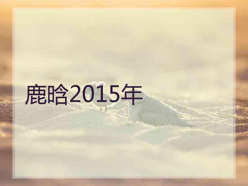 鹿晗2015年