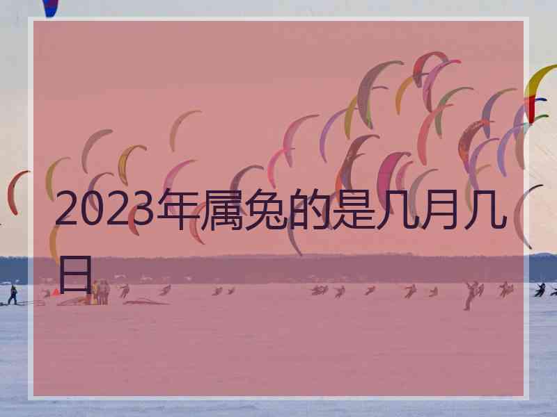 2023年属兔的是几月几日