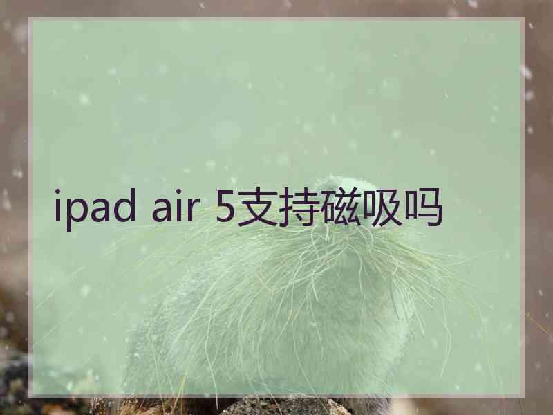 ipad air 5支持磁吸吗