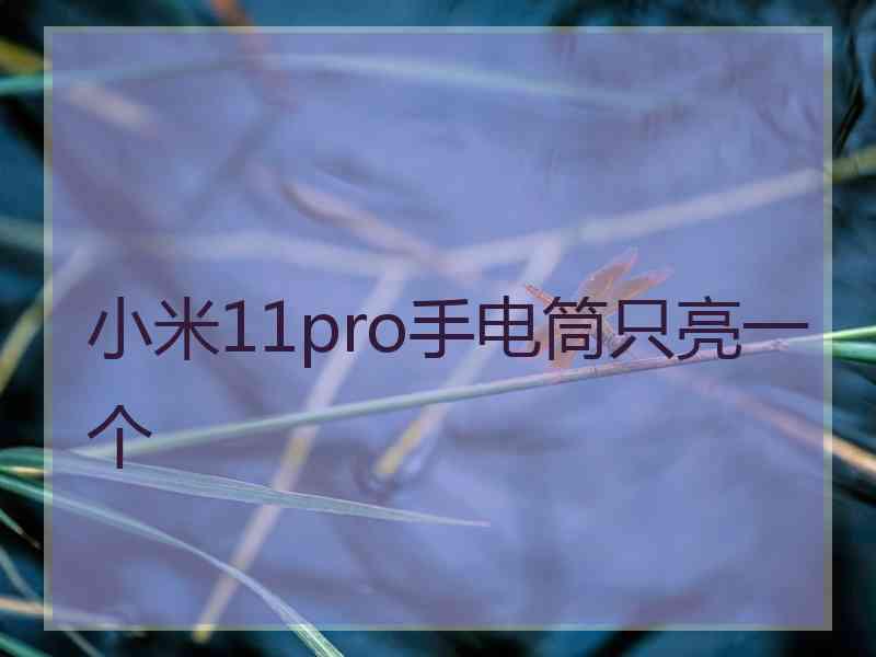 小米11pro手电筒只亮一个