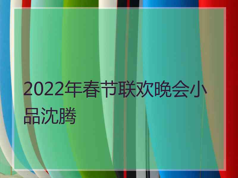 2022年春节联欢晚会小品沈腾