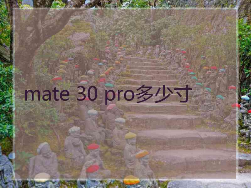 mate 30 pro多少寸