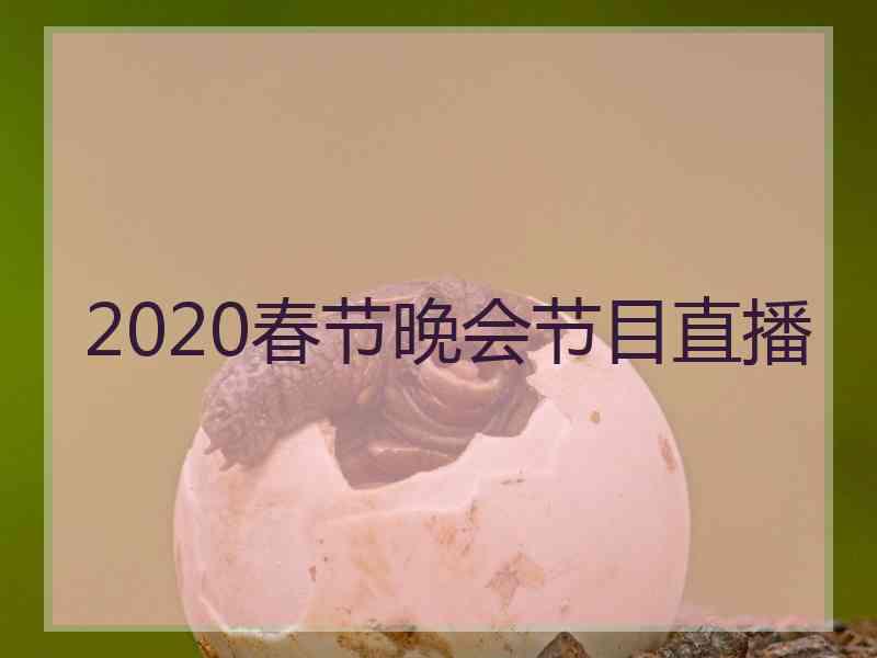 2020春节晚会节目直播