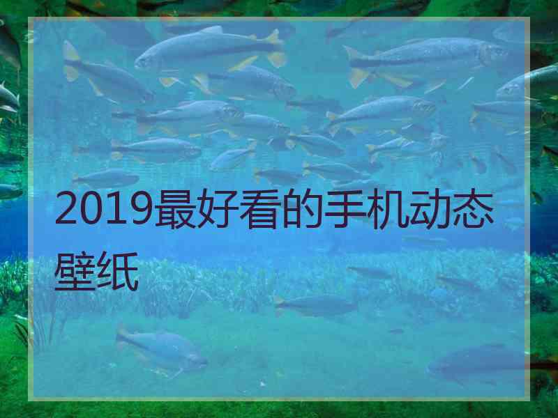 2019最好看的手机动态壁纸