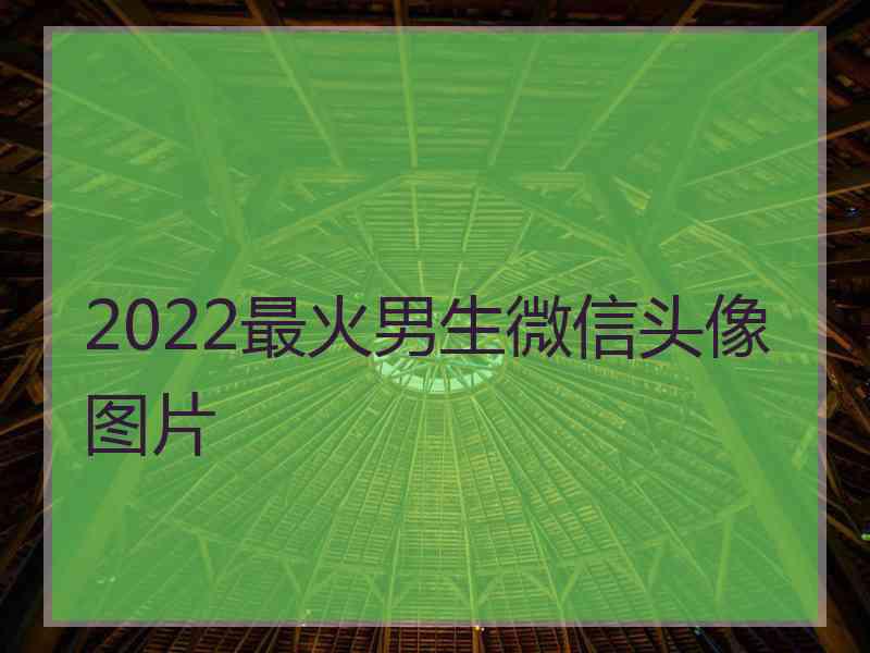 2022最火男生微信头像图片