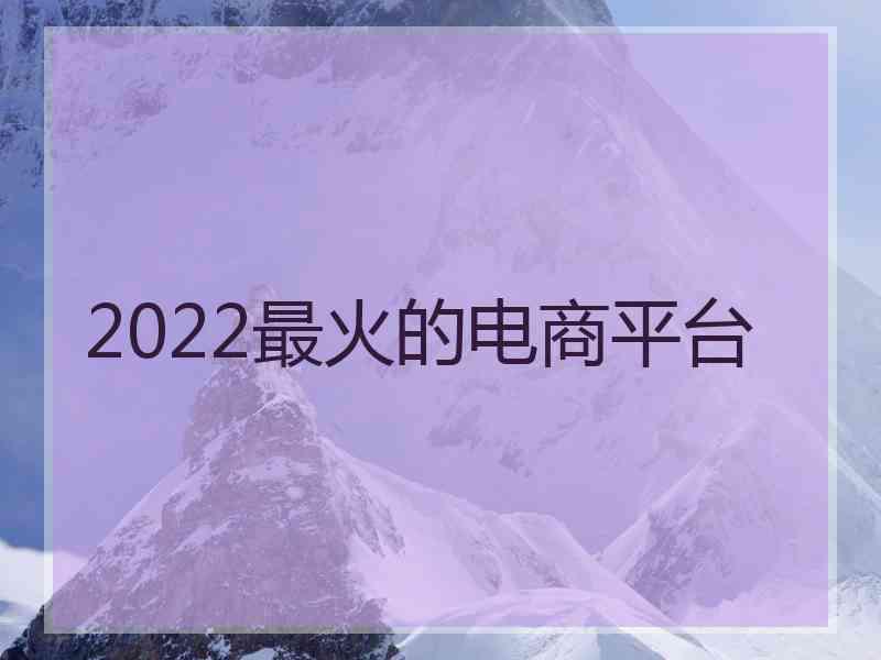 2022最火的电商平台