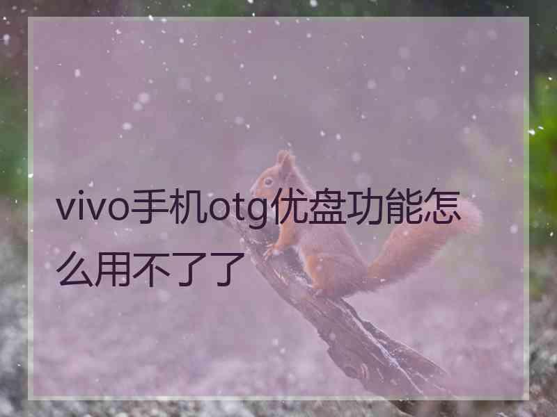 vivo手机otg优盘功能怎么用不了了