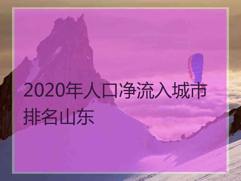 2020年人口净流入城市排名山东