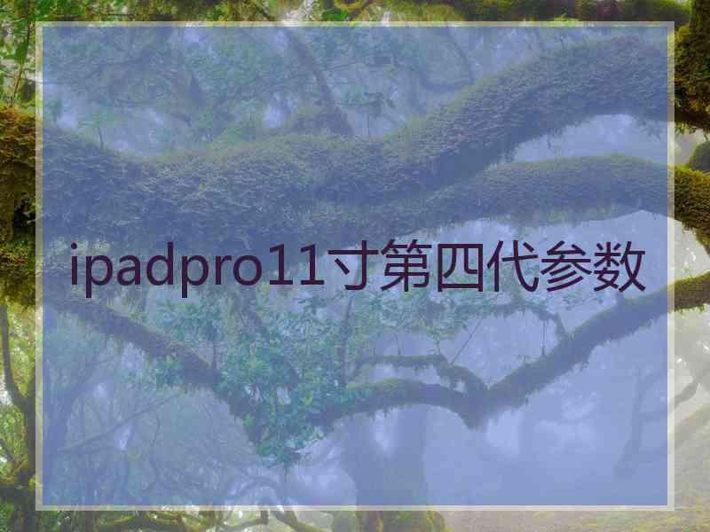 ipadpro11寸第四代参数