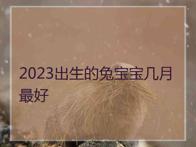 2023出生的兔宝宝几月最好