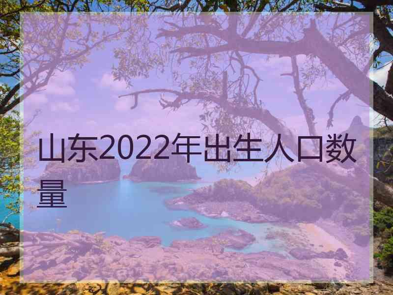 山东2022年出生人口数量