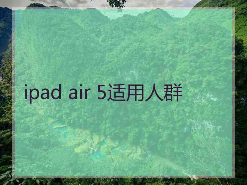 ipad air 5适用人群