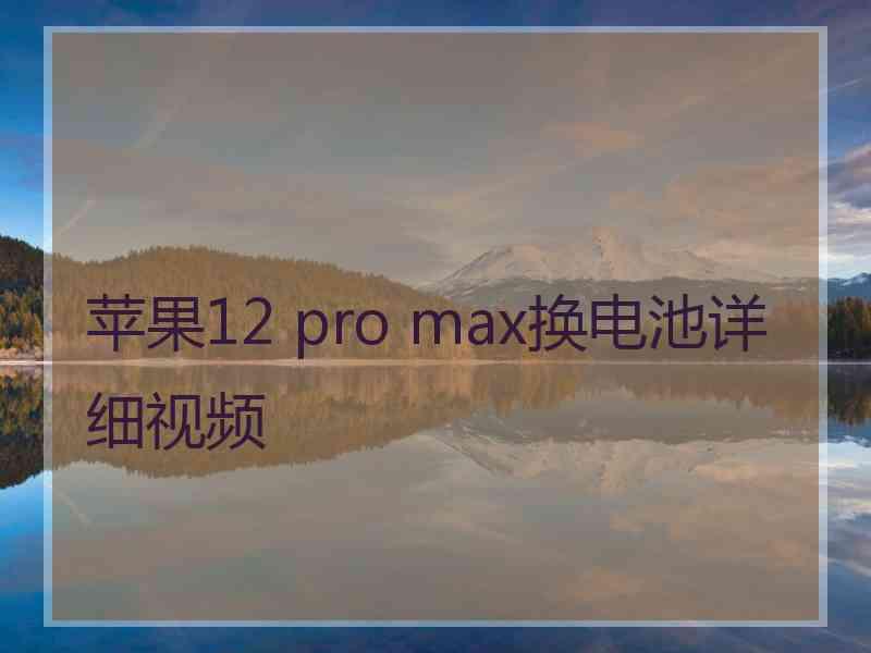 苹果12 pro max换电池详细视频