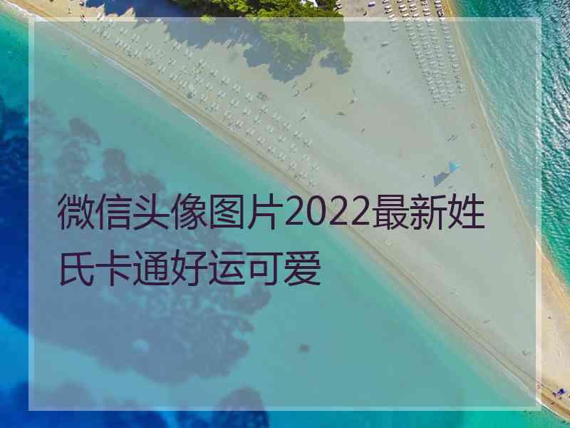 微信头像图片2022最新姓氏卡通好运可爱