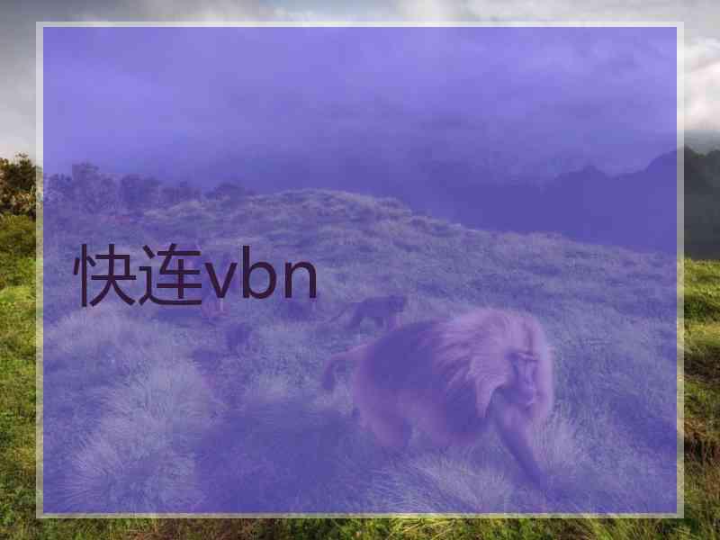 快连vbn