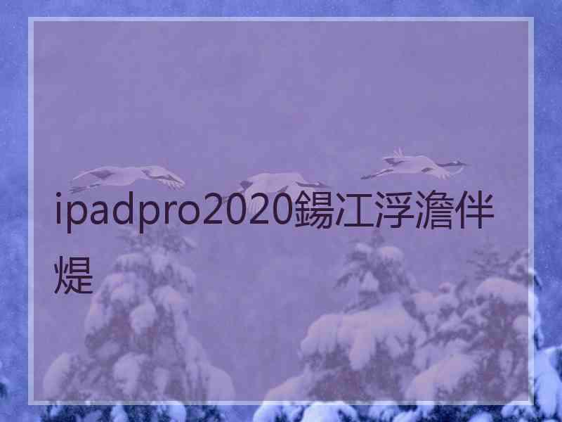 ipadpro2020鍚冮浮澹伴煶