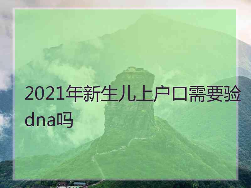 2021年新生儿上户口需要验dna吗