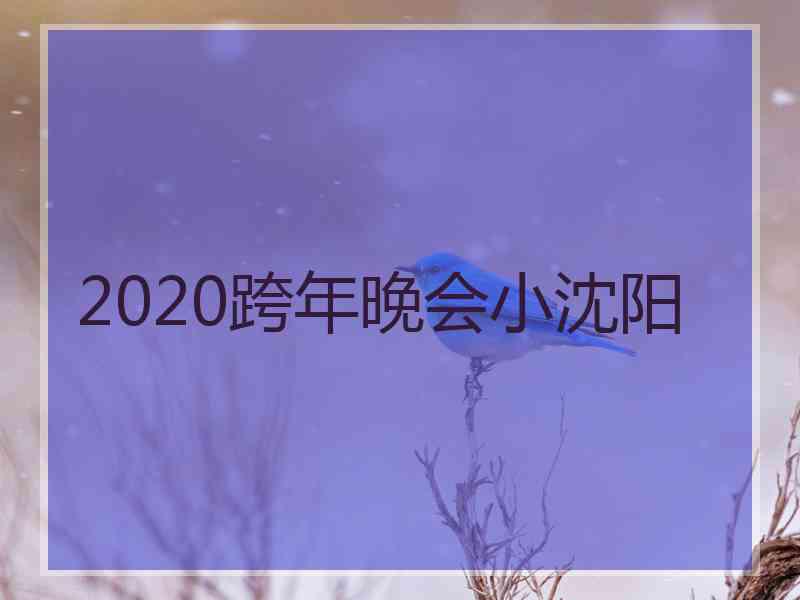 2020跨年晚会小沈阳