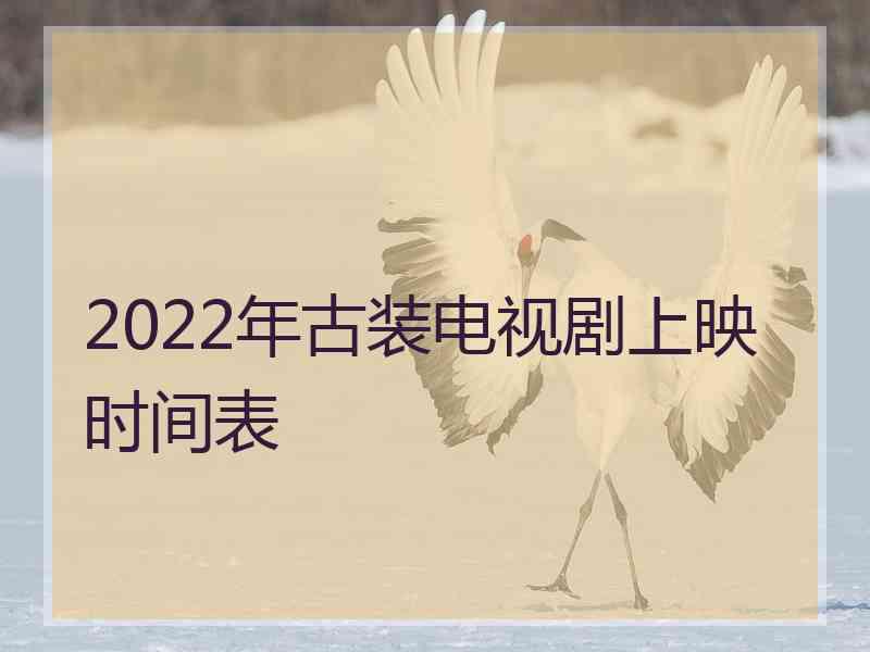 2022年古装电视剧上映时间表