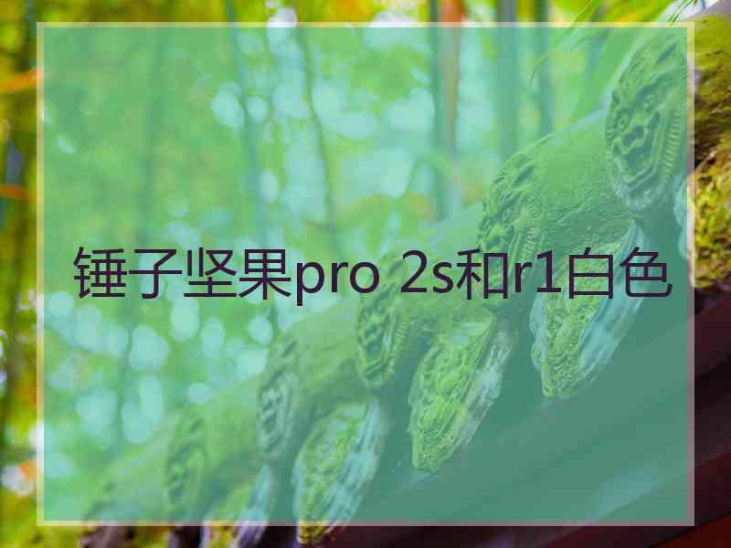 锤子坚果pro 2s和r1白色